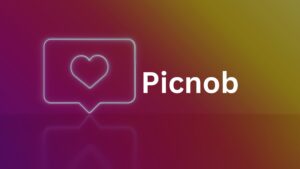 Picnob: Detailed Guide to Instagram Viewer (2025)