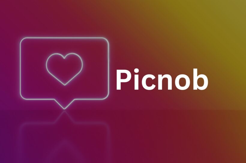 Picnob: Detailed Guide to Instagram Viewer (2025)
