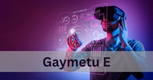 What Is Gaymetu E? A Pro Guide