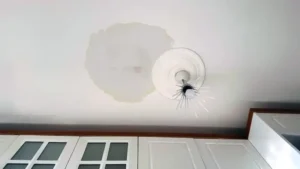 How Quickly Should You Call Someone for a Ceiling Water Leak Before Damage Spreads?