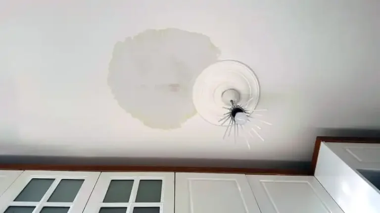 How Quickly Should You Call Someone for a Ceiling Water Leak Before Damage Spreads?